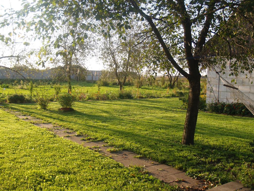 Medny Dvor Farm Stay Medna Dış mekan fotoğraf