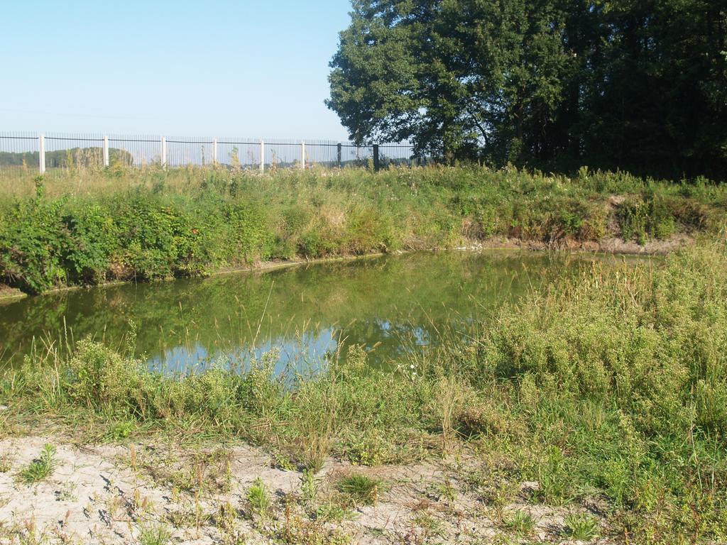 Medny Dvor Farm Stay Medna Dış mekan fotoğraf